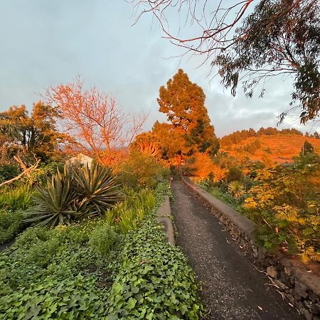 فندق إل باسوفي  El Oasis المظهر الخارجي الصورة