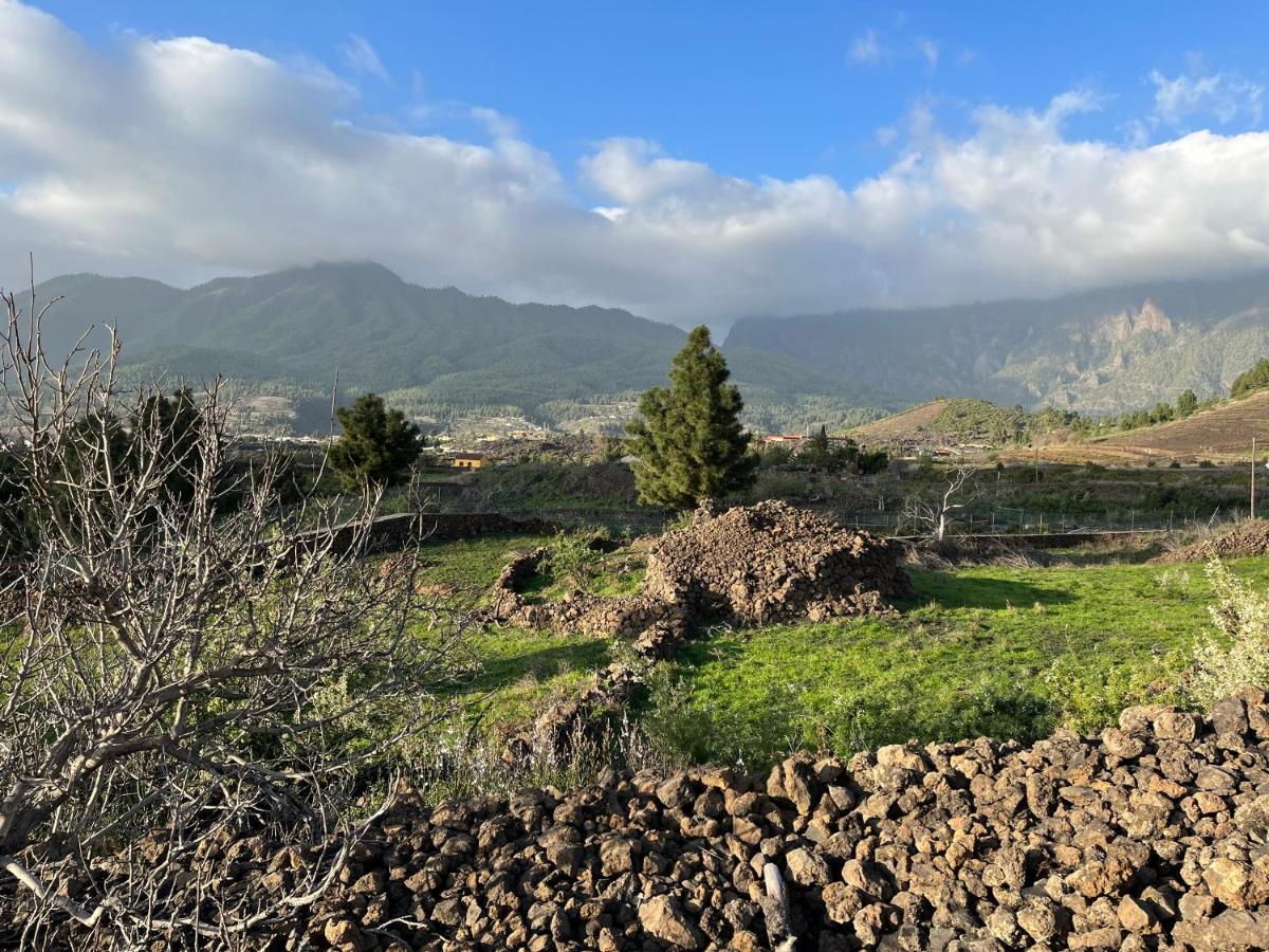 فندق إل باسوفي  El Oasis المظهر الخارجي الصورة